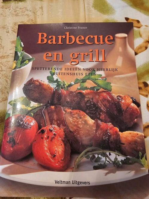 Chr. France - Barbecue en grill, Livres, Livres de cuisine, Comme neuf, Enlèvement ou Envoi