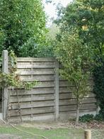 Houten omheining 30 meter, Tuin en Terras, Schuttingen, Ophalen, Overige materialen, 6 meter of meer, Zo goed als nieuw