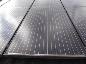 Zonnepanelen Sunrise 250 Wp mono Full Black beschikbaar voor biedingen