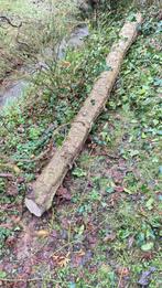 Bois rare. Tronc de houx pour ébénisterie, tournage, Bricolage & Construction, Enlèvement