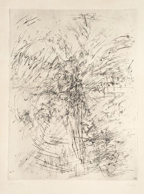 ets giethoorn - Jules lismonde, Antiek en Kunst, Kunst | Etsen en Gravures, Ophalen of Verzenden