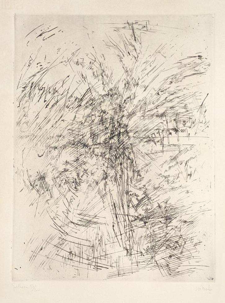 ets giethoorn - Jules lismonde, Antiek en Kunst, Kunst | Etsen en Gravures, Ophalen of Verzenden