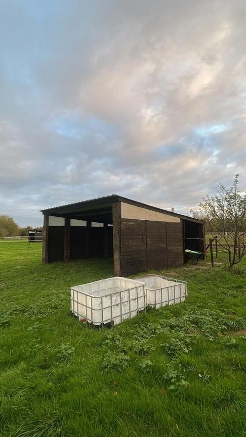 Plekje aangeboden voor 1 paard/pony, Dieren en Toebehoren, Stalling en Weidegang, Weidegang, 1 paard of pony