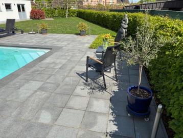 Terras - tegels natuursteen beschikbaar voor biedingen