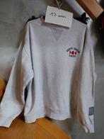 Zara sweater, vanaf 13 jaar, Kinderen en Baby's, Gebruikt, Trui of Vest, Ophalen of Verzenden, Zara