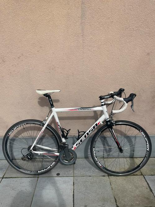 Sensa koersfiets, Fietsen en Brommers, Fietsen | Racefietsen, Meer dan 20 versnellingen, Aluminium, 57 tot 61 cm, Ophalen