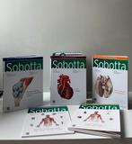 Atlas d'anatomie de Sobotta, Livres, Enlèvement, Neuf, Autres sciences