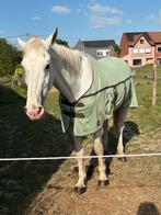 Halve stal gezocht