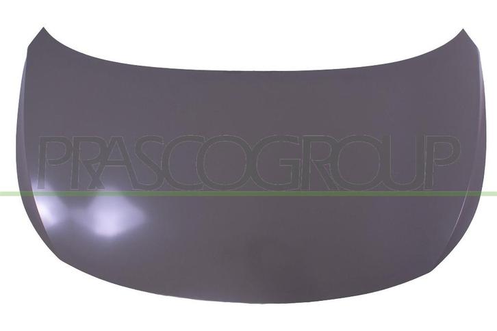 Capot Moteur Volkswagen ID.4 - ID.5 Neuf, Autos : Pièces & Accessoires, Carrosserie & Tôlerie, Capot moteur, Volkswagen, Avant