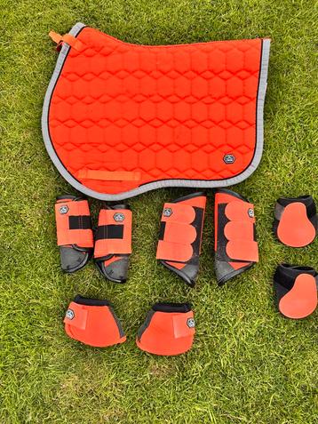 Jumping / eventing/ cross set QHP beschikbaar voor biedingen
