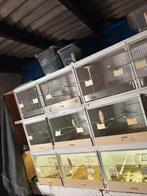 Batterie d'élevage oiseaux, Enlèvement, Comme neuf, Bois