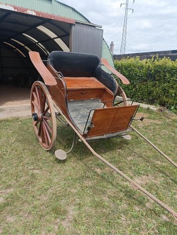 Antieke Kortrijkse tilbury koets (enkelspan), Utilisé, Cheval