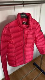 Dames of meisjesvest van HV Society in Nieuwstaat !! Maat S, Ophalen of Verzenden, Zo goed als nieuw, Maat 36 (S)