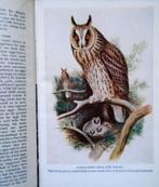Birds Trees and Flowers Illustrated - 1947 - 1e druk - 384p., Dieren en Toebehoren, Vogels | Parkieten en Papegaaien