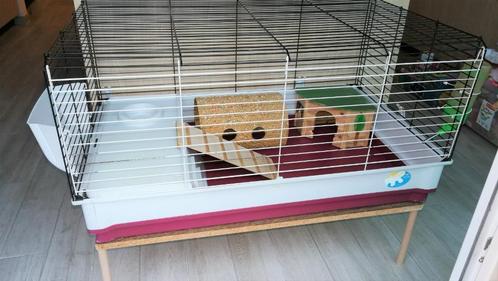 Ferplast knaagdieren kooi - met tafel en andere toebehoren., Dieren en Toebehoren, Knaagdieren en Konijnen | Hokken en Kooien