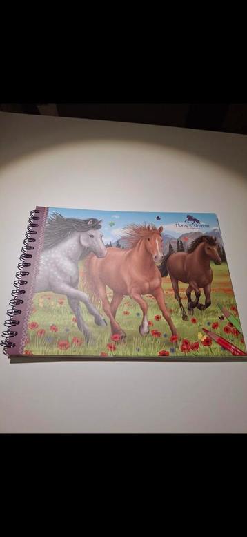 Kinder plak- en kleurboek 'Horses & Dreams' by Depesche  beschikbaar voor biedingen