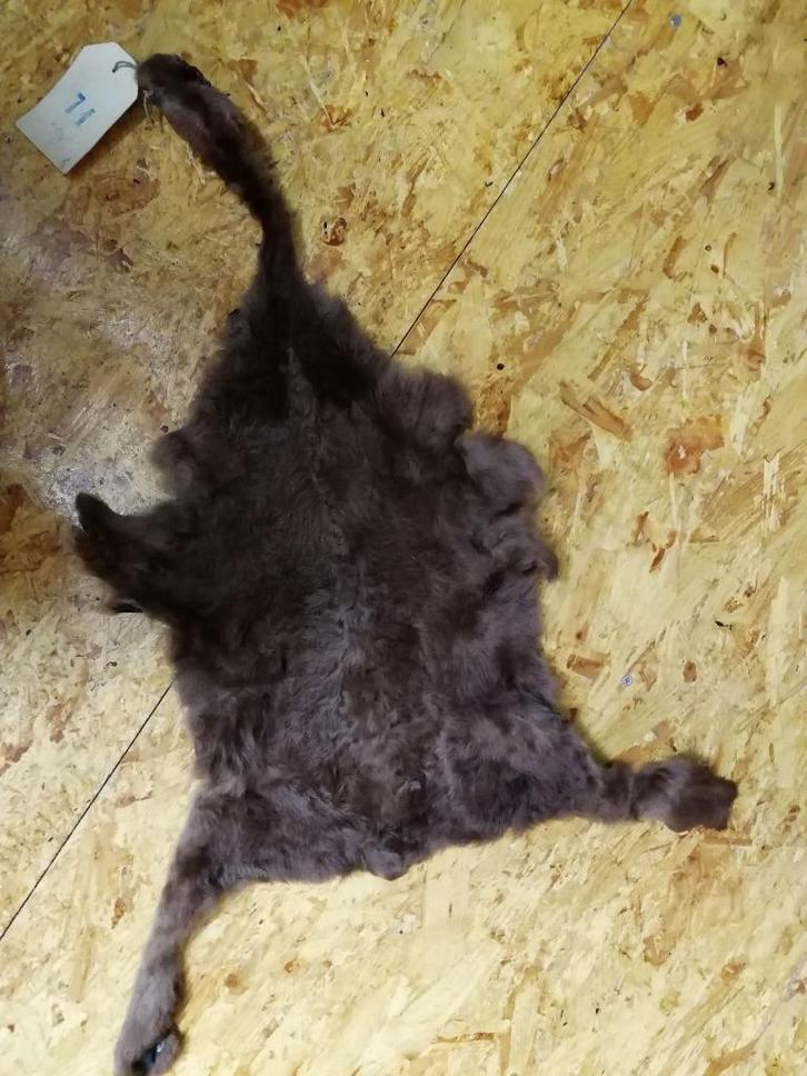 Astrakan donker bruin, Hobby & Loisirs créatifs, Tissus & Chiffons, Comme neuf, Autres matériaux, 30 à 120 cm, Moins de 30 cm