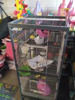 Ratten kooi, Dieren en Toebehoren, Ophalen, Kooi, 60 tot 90 cm, Zo goed als nieuw