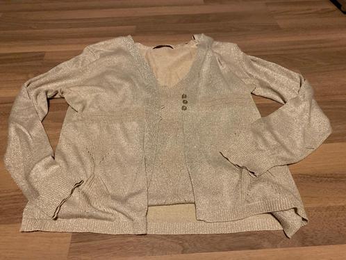 Gilet + topje, Comme Ca, maat 42, Kleding | Dames, Truien en Vesten, Gedragen, Maat 42/44 (L), Beige, Ophalen of Verzenden