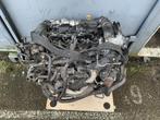 motorblok 1.4 HDI / TDCI DV4C peugeot 208 / fiesta VII, Auto-onderdelen, Ophalen of Verzenden, Gebruikt, Citroën