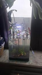 Aquarium nano cube, Dieren en Toebehoren, Ophalen