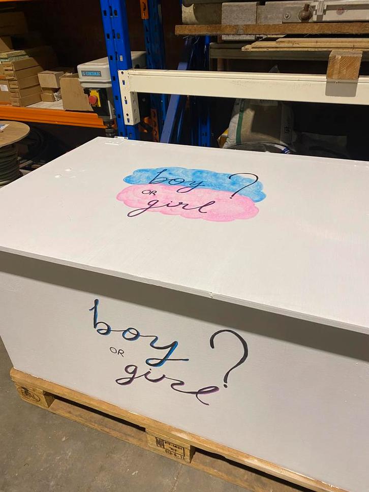 Box gender reveal TE HUUR 🍼👶💙🩷, Hobby en Vrije tijd, Feestartikelen, Zo goed als nieuw, Feestartikel, Ophalen