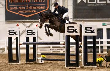 Training van sportpaarden en pony's beschikbaar voor biedingen