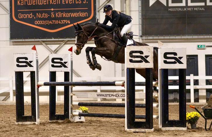 Training van sportpaarden en pony's, Dieren en Toebehoren, Stalling en Weidegang