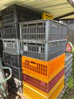 Transportkist transportbak kippen/pluimvee, Ophalen, Gebruikt