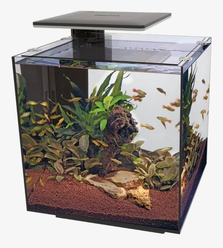 SuperFish aquarium QubiQ 60 Pro zwart 60 L, Dieren en Toebehoren, Vissen | Aquaria en Toebehoren, Zo goed als nieuw, Ophalen