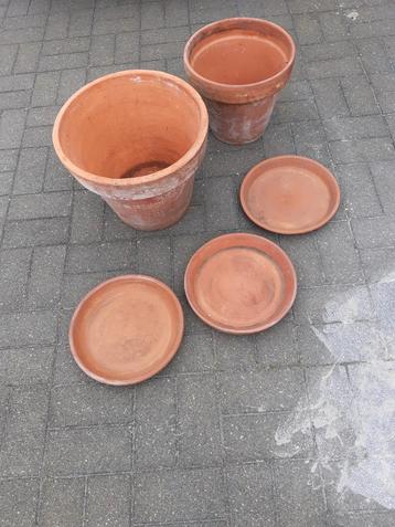 Bloempotten terra cotta beschikbaar voor biedingen