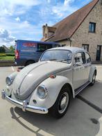 Vw beetle 1200 année 1967 carrosserie restaurée + garantie, Autos, Achat, Beige, Entreprise, Boîte manuelle