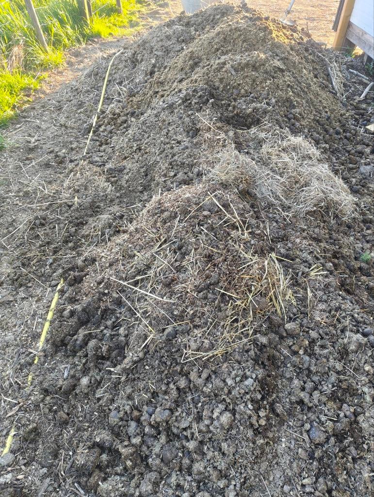 Gratis paardenmest, Ophalen