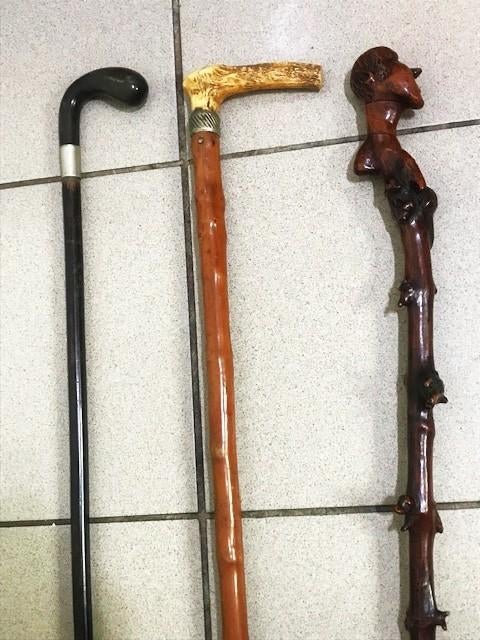 Bâtons marche partir de 29€ 19e siècle antique😍😎💑🤗👌, Enlèvement ou Envoi, Ajustable, Utilisé