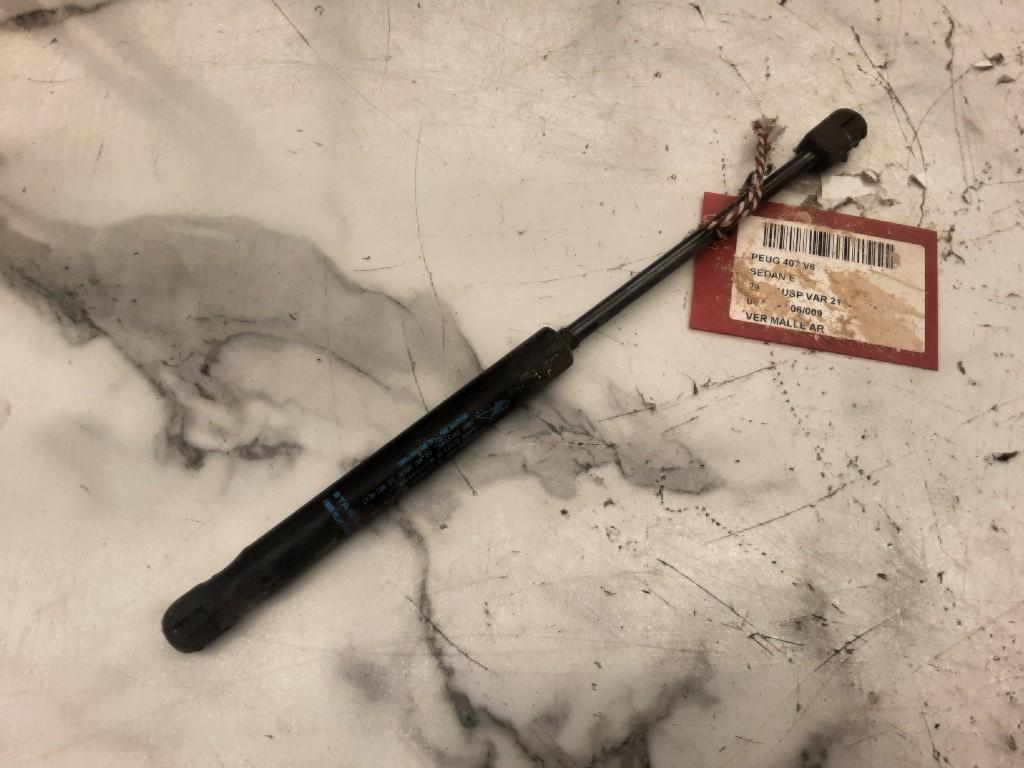 SERRURE COFFRE Peugeot 407 (6D) (01-2004/12-2011), Mevr. I. Hauben, Haillon arrière, Utilisé, Rue de l'Espoir 34 34
4030  GRIVEGNÉE, BE