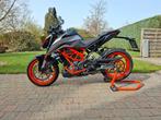 KTM DUKE 390 2022, Particulier, Permis Moto A2 minimum, 12 à 35 kW, 1 cylindre
