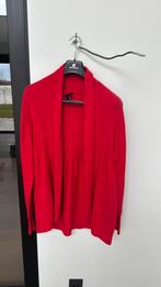 Rode vest L, Ophalen, Zo goed als nieuw, Maat 42/44 (L)