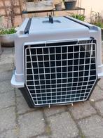 grote hondentransportbox, Enlèvement