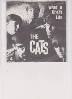 the cats, Enlèvement ou Envoi