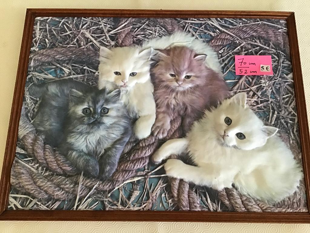 magnifique cadre avec des chats mesurant 70 cm sur 52 cm, Collections, Collections Animaux, Enlèvement ou Envoi, Comme neuf