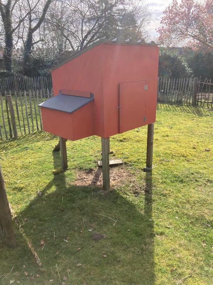Kippenhok, Animaux & Accessoires, Volatiles | Accessoires, Utilisé, Poulailler, Enlèvement