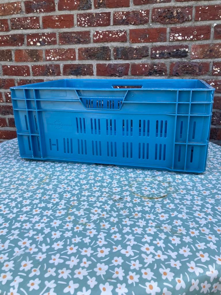 GEZOCHT stapelbakken 60x40x24, Gebruikt, 40 tot 60 cm, 50 tot 75 cm, Minder dan 35 cm