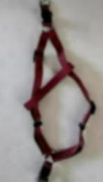 Harnais baudrier bordeau S, Enlèvement ou Envoi, Utilisé