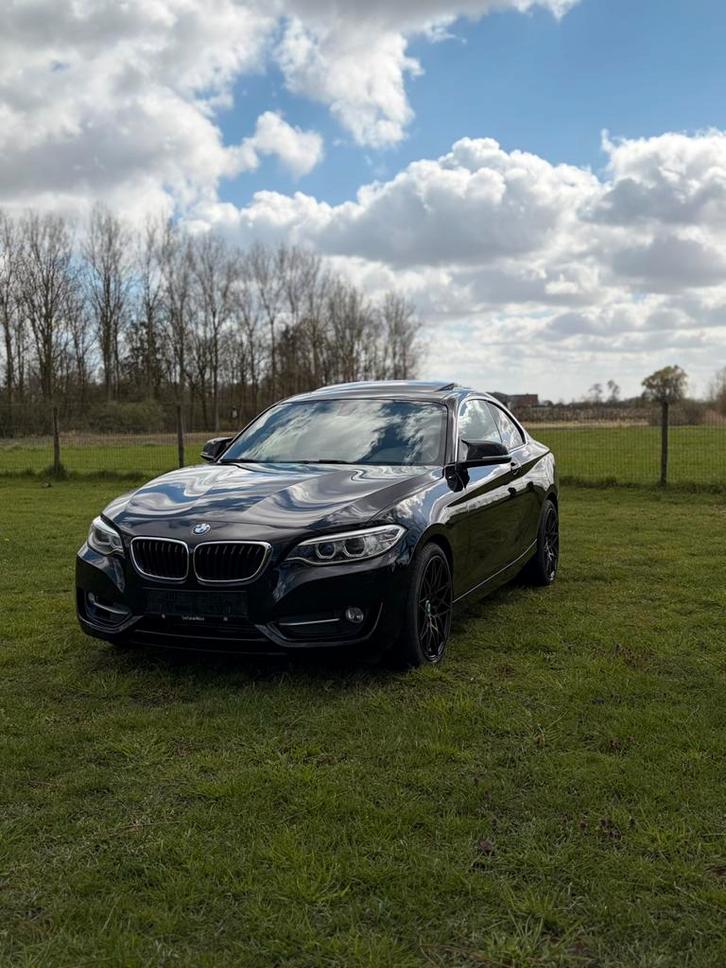 Bmw 228i X-drive 2016, Auto's, BMW, Particulier, 2 Reeks, 4x4, ABS, Adaptive Cruise Control, Airbags, Airconditioning, Alarm, Bluetooth
