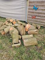 Mooie partij vers Wilgenhout (Treurwilg) – ca. 2 kuub, Tuin en Terras, Brandhout, Minder dan 3 m³, Ophalen, Overige houtsoorten