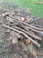 Hout - brandhout beschikbaar, Moins de 3 m³, Enlèvement, Troncs d'arbres