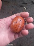 marans en zijdehoen kippen, Dieren en Toebehoren