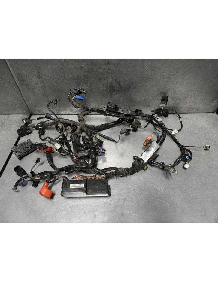 VFR1200F 2010 - 2017 Honda Kabelboom D1-43323, Motoren, Onderdelen | Honda