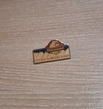 PIN - JEUX OLYMPIQUES D'HIVER - OLYMPISCHE SPELEN, Envoi, Utilisé, Sport, Insigne ou Pin's