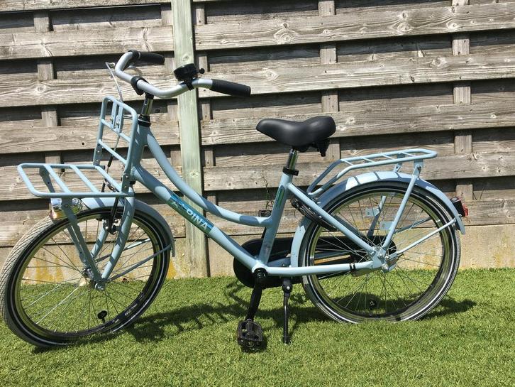 Meisjesfiets Alpina 20”, Fietsen en Brommers, Fietsen | Meisjes, Zo goed als nieuw, Ophalen